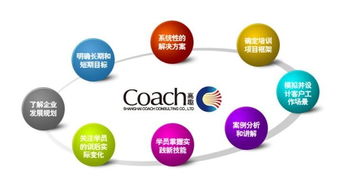 企业管理咨询 上海高趣的专业图册指引